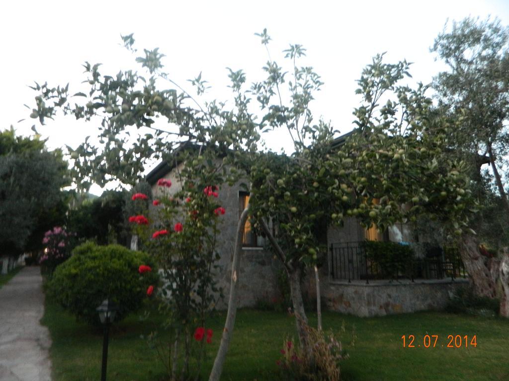 Assos Oleas Hotel Ayvacik Exterior foto