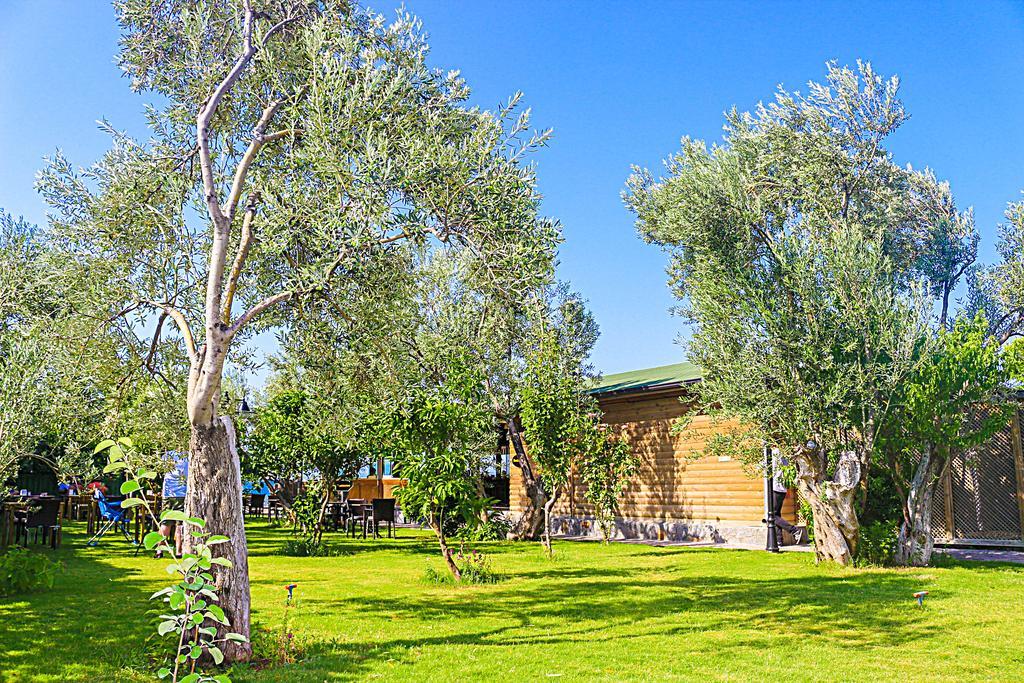 Assos Oleas Hotel Ayvacik Exterior foto
